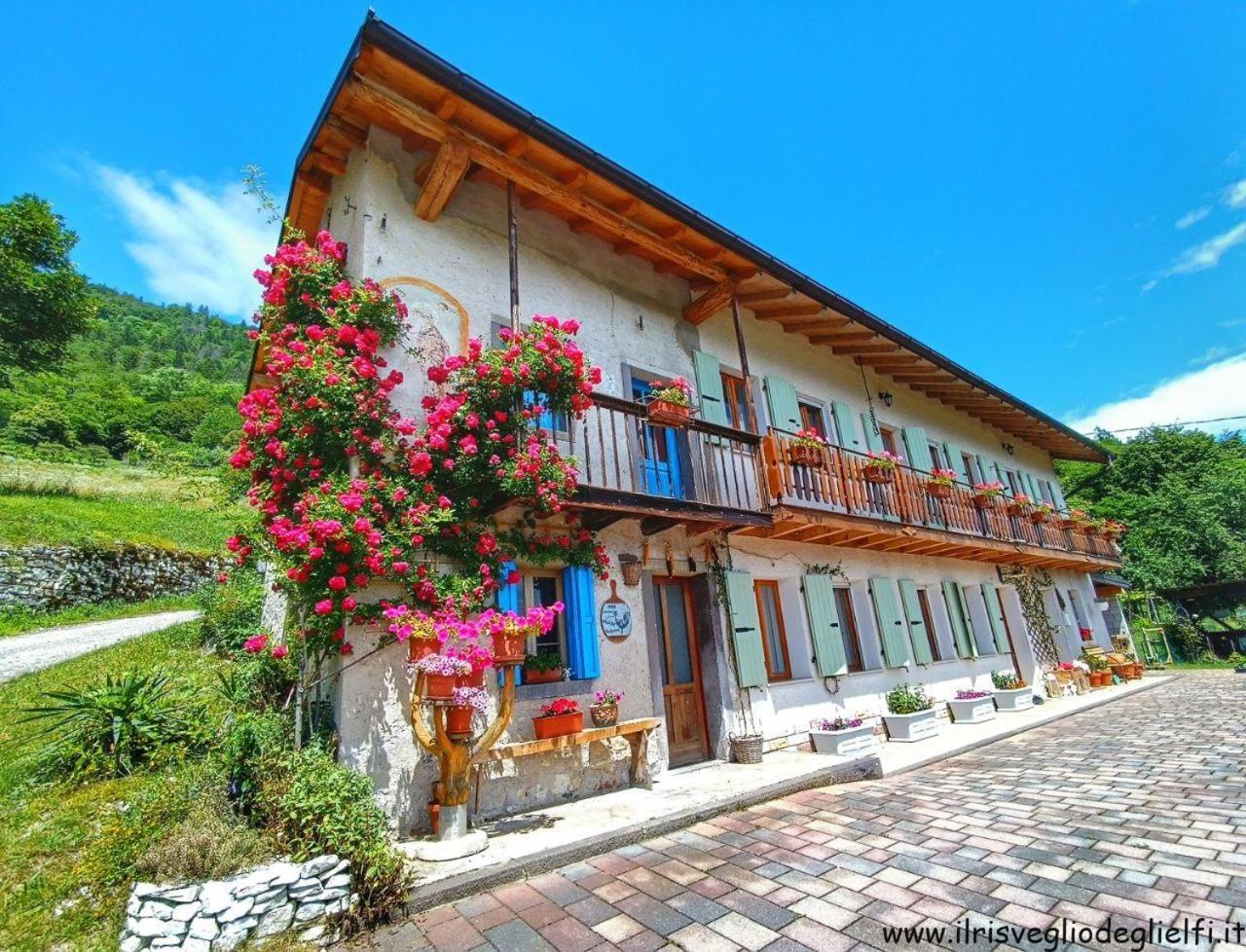 Casa Nella Natura Il Risveglio Degli Elfi Педавена Екстер'єр фото